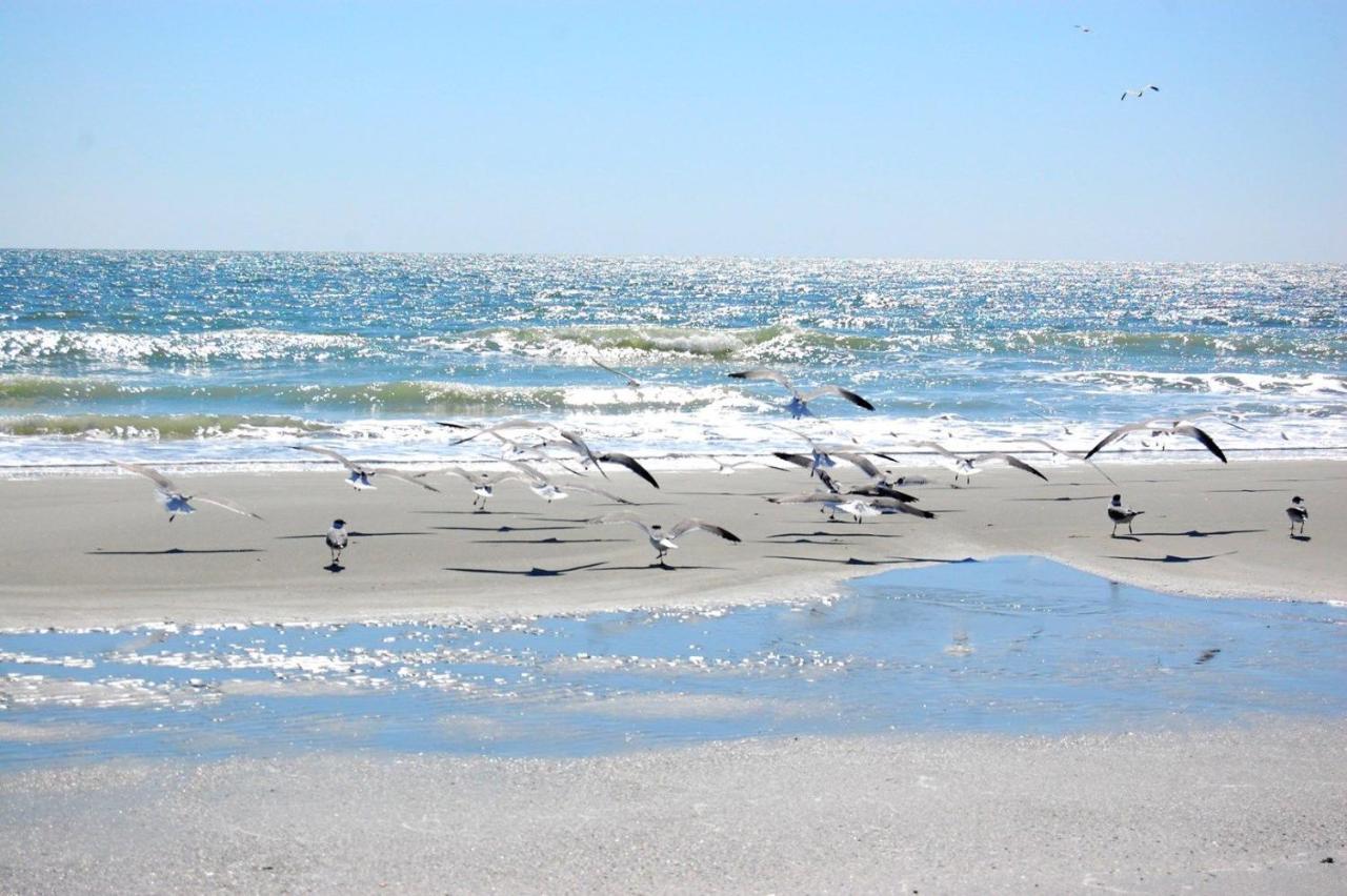 Mariners Cove 227 C Apartamento Myrtle Beach Exterior foto